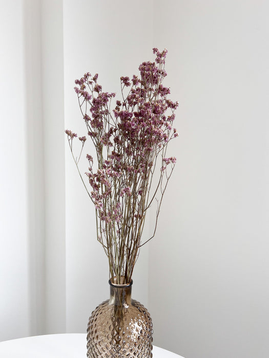 ORDOBARDO » Limonium essiccato naturale - Bloomoon