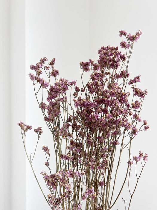 ORDOBARDO » Limonium essiccato naturale - Bloomoon