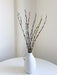PASTEL » Mazzo di Salice multicolor pastello - Bloomoon