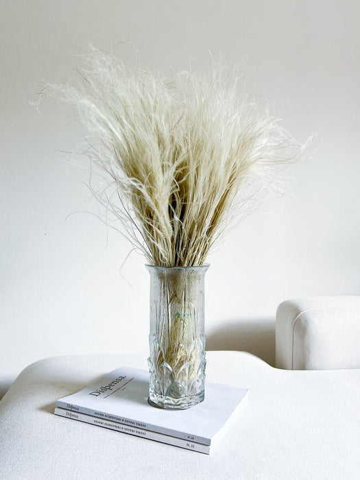 REBECCA » Mazzo di Stipa Pennata naturale - Bloomoon
