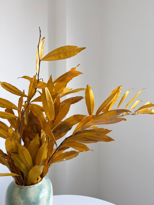 VELARYA » Cocculus stabilizzato giallo H70cm - Bloomoon